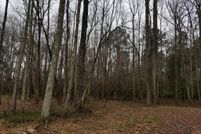 Land for sale in Halifax County, North Carolina