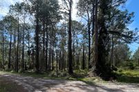 Land for sale in Putnam County, Florida