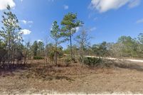 Undeveloped Land for sale in Hernando County, Florida