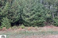 Undeveloped Land for sale in Iosco County, Michigan