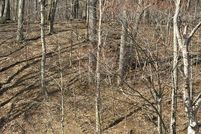 Land for sale in Tazewell County, Virginia