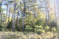 Land for sale in Little River County, Arkansas