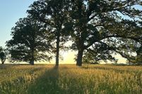 Farm and Ranch for sale in Lee County, Illinois