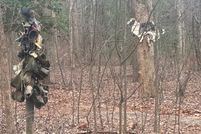 Land for sale in Dawson County, Georgia