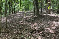 Land for sale in White County, Georgia
