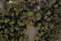 Undeveloped Land for sale in Camden County, Georgia
