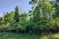 Undeveloped Land for sale in Allegan County, Michigan