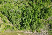 Land for sale in Titus County, Texas