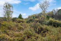 Land for sale in Wayne County, Ohio