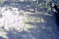 Land for sale in Madison County, Arkansas