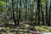 Land for sale in Carbon County, Pennsylvania