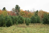 Land for sale in Polk County, Wisconsin