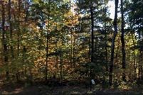 Undeveloped Land for sale in Sawyer County, Wisconsin