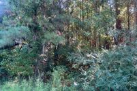 Land for sale in Horry County, South Carolina