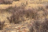 Farm and Ranch for sale in Riverside County, California