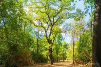 Land for sale in Robertson County, Texas