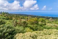 Undeveloped Land for sale in Hawaii County, Hawaii