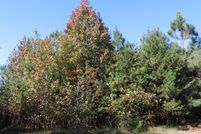 Land for sale in Prince Edward County, Virginia