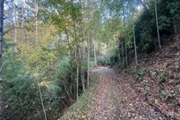 Undeveloped Land for sale in Buncombe County, North Carolina