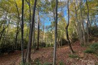 Undeveloped Land for sale in Buncombe County, North Carolina