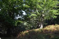 Land for sale in Antrim County, Michigan