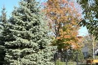 Land for sale in Essex County, New Jersey