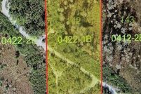 Land for sale in Osceola County, Florida