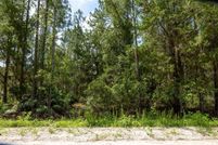 Undeveloped Land for sale in Flagler County, Florida