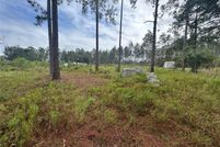 Undeveloped Land for sale in Lake County, Florida
