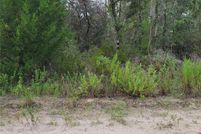 Land for sale in Levy County, Florida