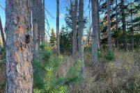Undeveloped Land for sale in Pine County, Minnesota