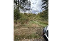 Land for sale in Lewis County, Washington