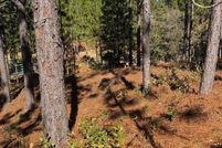 Land for sale in Moore County, North Carolina