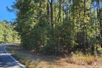 Land for sale in Henry County, Alabama