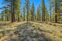 Farm and Ranch for sale in Nevada County, California