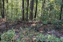 Land for sale in Tuscaloosa County, Alabama