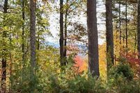 Land for sale in Fannin County, Georgia