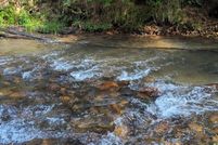 Land for sale in Fannin County, Georgia