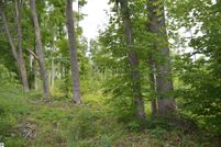 Undeveloped Land for sale in Grand Traverse County, Michigan