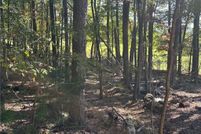 Undeveloped Land for sale in Pickens County, Georgia