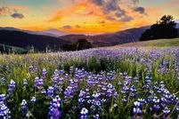 Land for sale in Humboldt County, California