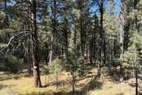Land for sale in Colfax County, New Mexico