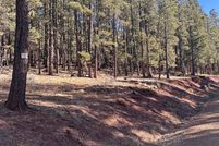 Land for sale in Colfax County, New Mexico