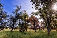 Undeveloped Land for sale in Gillespie County, Texas