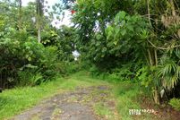 Land for sale in Hawaii County, Hawaii