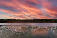 Farm and Ranch for sale in Marion County, Florida