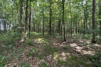 Land for sale in Preston County, West Virginia
