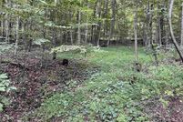 Land for sale in Marion County, West Virginia