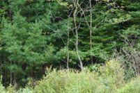 Land for sale in Tucker County, West Virginia