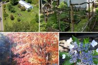 Land for sale in Yancey County, North Carolina